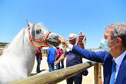 Ad Ambelia apre la "Fiera mediterranea del cavallo": &egrave; la festa dello sport equestre