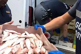 Sciacca,  sequestrati 30 kg di pesce irregolare