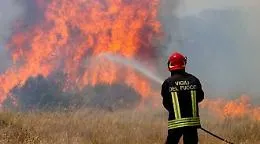 Incendi in Sicilia, il Conapo accusa: &laquo;Regione non ha attivato convenzione con i vigili del fuoco&raquo;