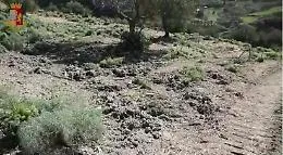 Allevatore ucciso a Nicosia, l'inchiesta si sta allargando