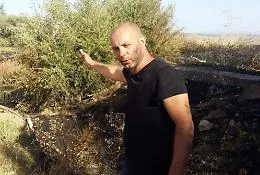 Il grido di dolore dell'agricoltore antimafia: &laquo;Cos&igrave; i piromani hanno mandato in fumo dieci anni della mia vita&raquo;