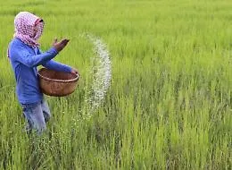 Wwf: aumenta lo spreco del cibo, buttato il 40%