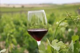 Terre Sicane Wine Fest, tre giorni di vino, gastronomia e spettacolo