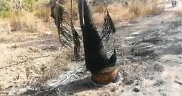 Incendi, centro florovivaistico distrutto a Catania. Il titolare: &laquo;Siamo in ginocchio&raquo;