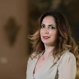 &laquo;Noi imprenditori pronti, ma in Sicilia mancano infrastrutture e leggi adeguate&raquo;