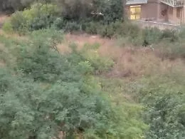 Siracusa, via Sicilia: terreno incolto a rischio incendi