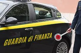 Cardellini di specie protetta sequestrati ad un tunisino dalla Gdf