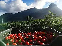 Alla Sicilia il record dei beni confiscati ai boss: 449 assegnati per riuso sociale