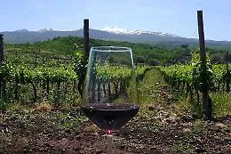 L'enoturismo sempre pi&ugrave; green, cos&igrave; l'Etna si prepara alla svolta