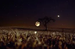 E' l'ultima notte d'estate: dal 22 settembre inizia l'autunno