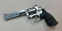 Possesso di arma da fuoco illegale: nei guai madre e figlio