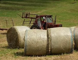 Numeri da primato con Politica agricola 2025: in Sicilia 56 milioni sui 363 distribuiti
