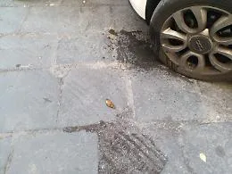 Catania: Via Naumachia &egrave; diventata un letamaio