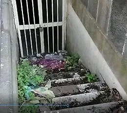 Degrado a Catania: "Sindaco se ci sei batti un colpo"