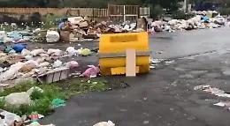 Catania: rifiuti e topi in via Locatelli