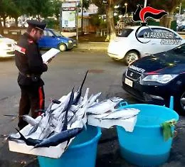 Vendeva pesce "vietato": multa e sequestro per un 29enne catanese