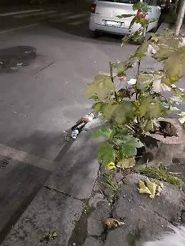 Catania: incivile deposita rifiuti in via Lago di Nicito