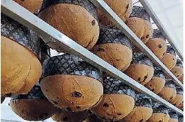 Pasticceria Tomarchio &laquo;la parola alla bont&agrave;&raquo;