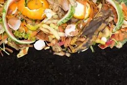 Compostaggio di prossimit&agrave;, la Regione finanzia 28 impianti in altrettanti piccoli Comuni