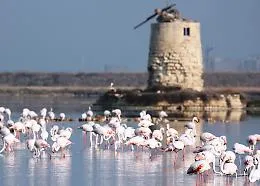 La giunta Musumeci approva il Paf: 250 milioni di euro per la natura e la biodiversit&agrave; siciliana