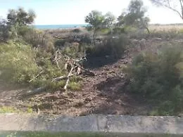 Ragusa: scempio di alberi abbattuti a Playa Grande