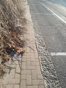 Lungomare Cannizzaro- Acicastello: percorso a "ostacoli"