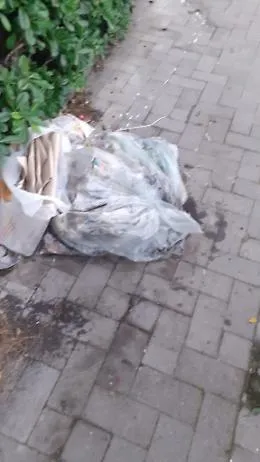 "Sig. Sindaco si rende conto che la citt&agrave; puzza?"