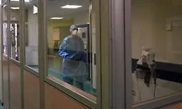 Covid, i sindaci siciliani chiedono dati certi sulla diffusione del virus