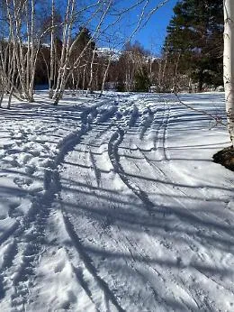 Parco dell'Etna: fuoristrada nell&rsquo;area protetta dei Monti Sartorius