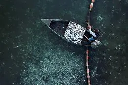 Centinaia di migliaia di pesci uccisi dal freddo polare: il video dal drone