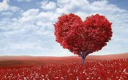 Promessa d'amore a San Valentino: la basilica diventa un giardino per 50 coppie