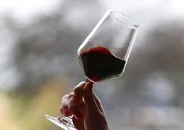 Vino, l'Europarlamento boccia il riferimento al cancro sulle etichette