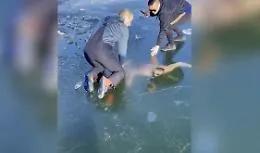 Resta intrappolato sotto un lago ghiacciato, salvo per miracolo