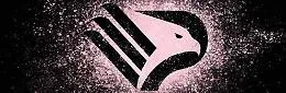 Calcio, sequestro beni conservativo di 2,35 mln di euro per il Palermo