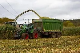 In Italia l'agricoltura biologica sar&agrave; tutelata da una legge
