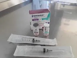Covid, ok da Ema a Evusheld: mix di monoclonali di Astrazeneca per prevenzione