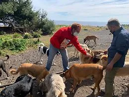 La Caritas di Catania provvede ai cani e ai gatti dei senzatetto