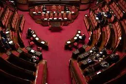 Peste suina: ok Senato a dl con 176 s&igrave;