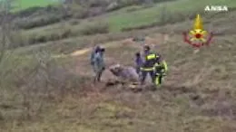 Mucca bloccata nel fango salvata dai pompieri