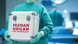 Donazione degli organi, le luci e le ombre della Sicilia: regione tra le ultime, Geraci Siculo e Marianpoli tra i primi