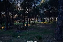 Caltagirone, Bosco Santo Pietro: benvenuti nell'oasi del degrado