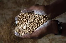 Fmi: tutelare deboli, essenziale evitare crisi alimentare