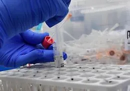 Casi di epatite acuta non riconosciuta segnalati anche in Sicilia e dilaga nuovo allarme sul vaccino anti-Covid