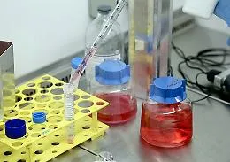 Epatite acuta, 17 bimbi gi&agrave; sottoposti al trapianto di fegato. L'Oms sulle tracce della causa