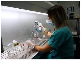 ++ Epatiti:agenzia inglese,adenovirus F41 causa pi&ugrave; probabile ++