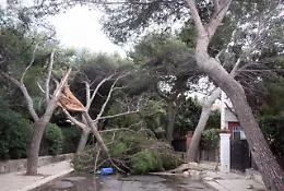 Il vento sferza la Sicilia: roghi e alberi caduti nel Palermitano, Eolie isolate