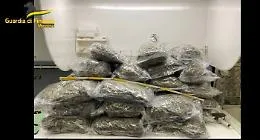 Corriere con 32 chili di marijuana in auto arrestato agli imbarcaderi