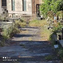 Cimitero di Catania: "I nostri cari riposano in un luogo abbandonato"