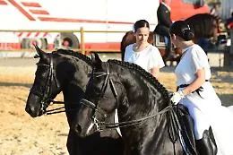 La Fiera Mediterranea del Cavallo raddoppia le "sedi" e le date