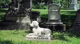 Anche in Sicilia i cimiteri per gli animali: arriva il via libera della Regione
